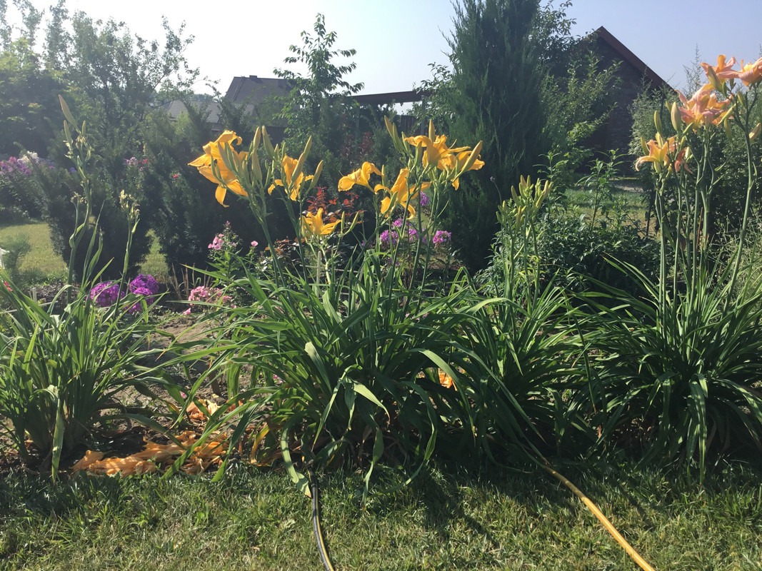 1E22E6A6-8589-4CE5-8B6D-29A35D4F3AC5