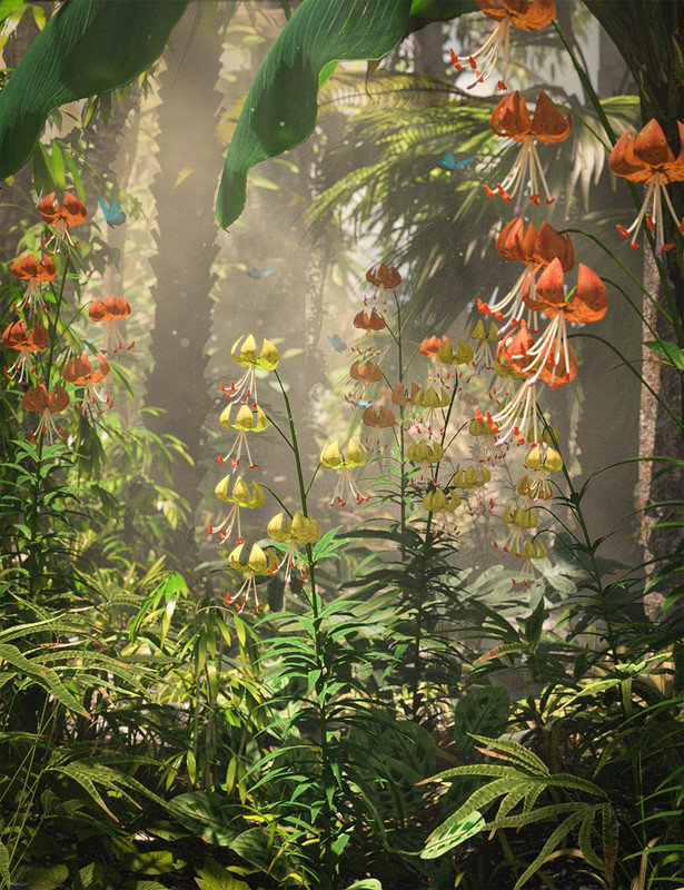 Turk's Cap Lilies