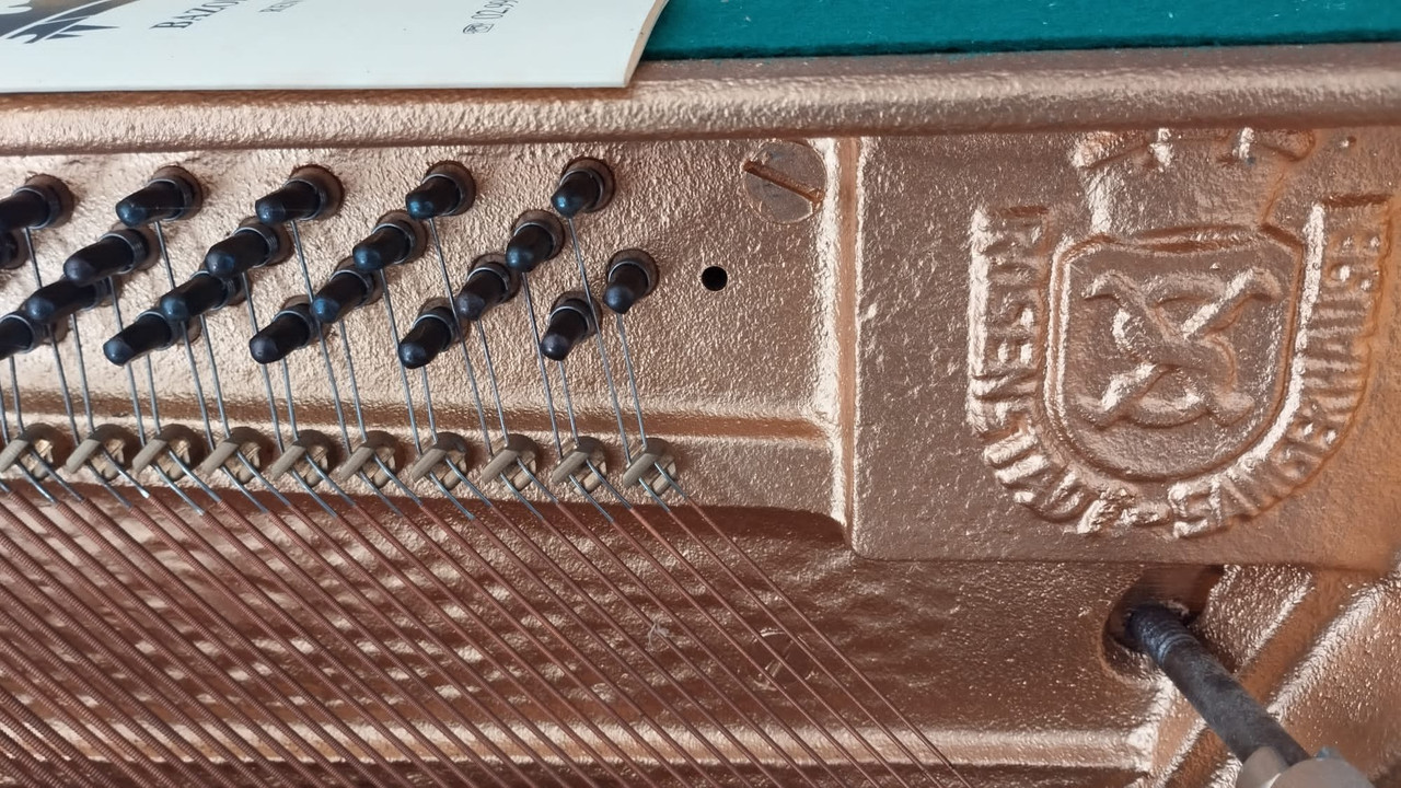 ca1ba58a-5670-11ef-abc9-573de3042ee3