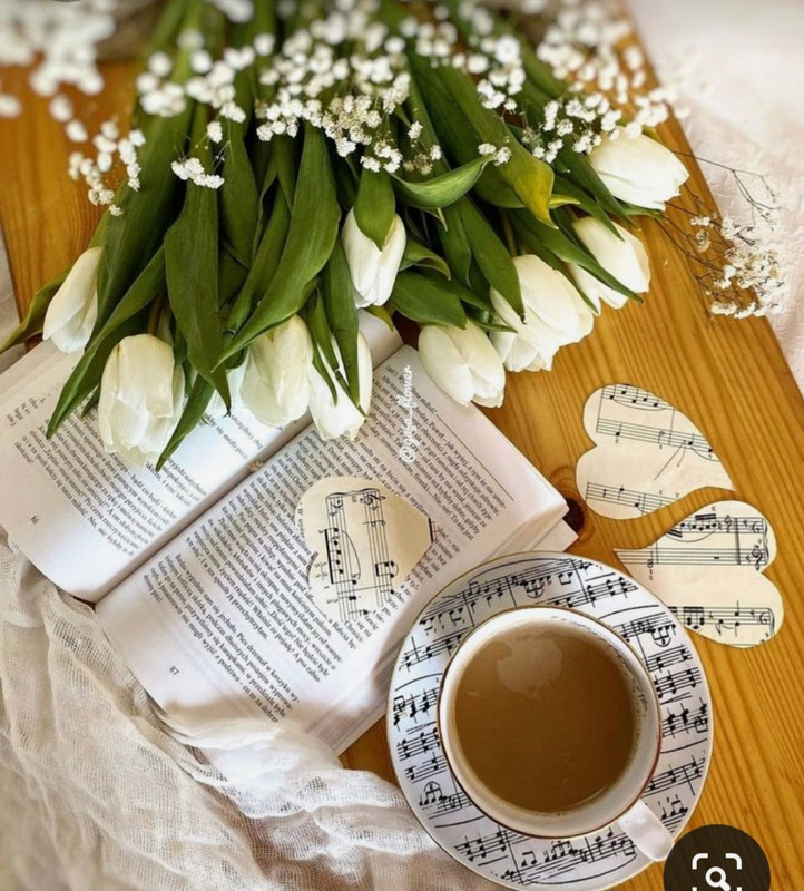 Screenshot_20240203_200106_Pinterest