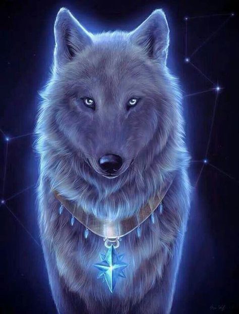 0c70acdf09c346ad3132dca4acf2d6b7--wolf-spirit-spirit-animal.jpg