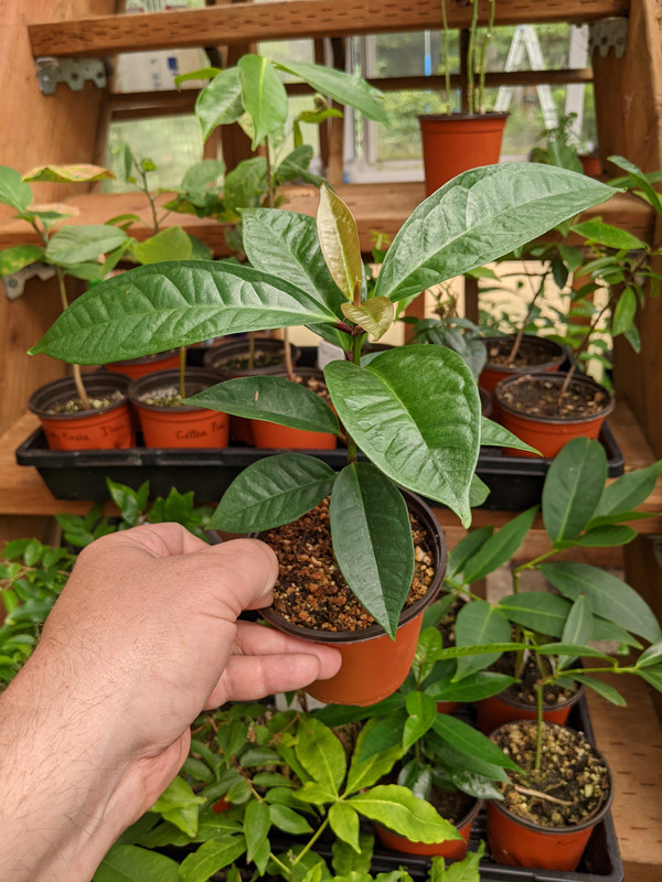 PXL_20230724_190502024