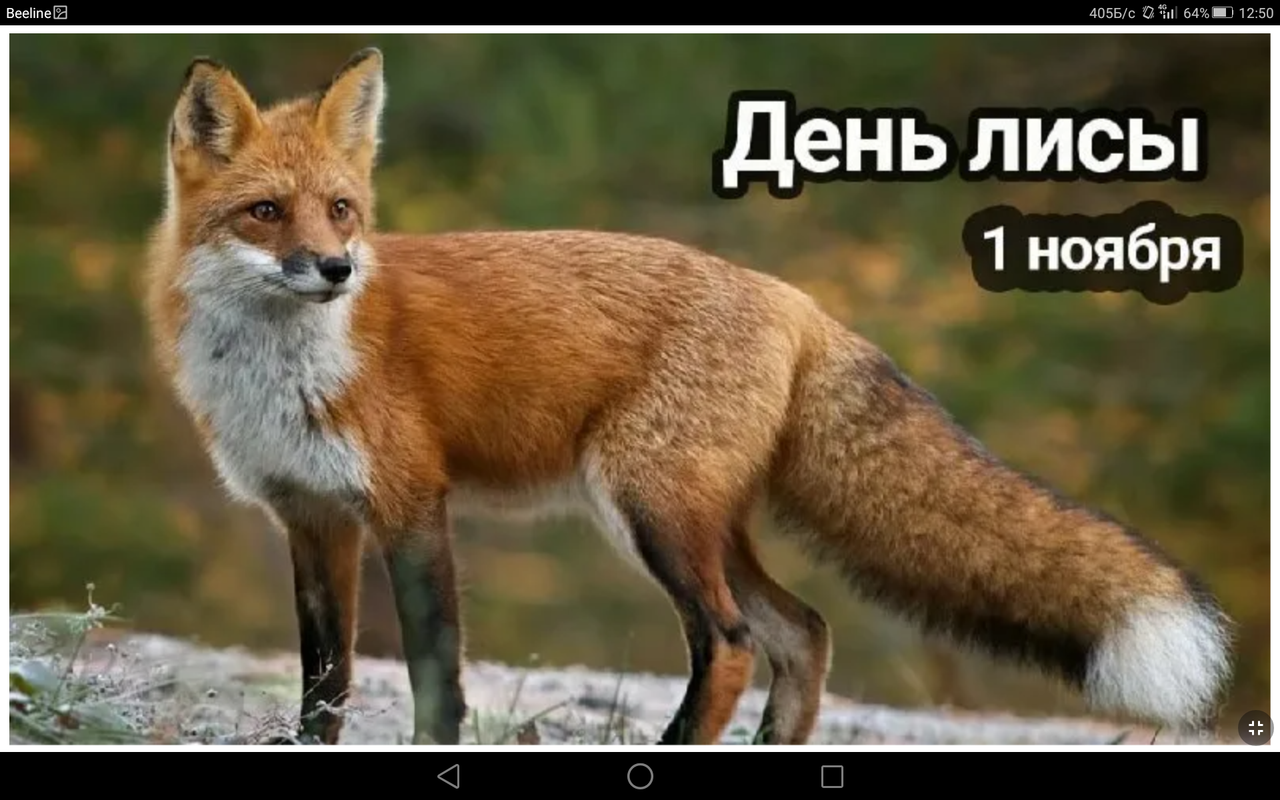 Screenshot_2023-11-01-12-50-41