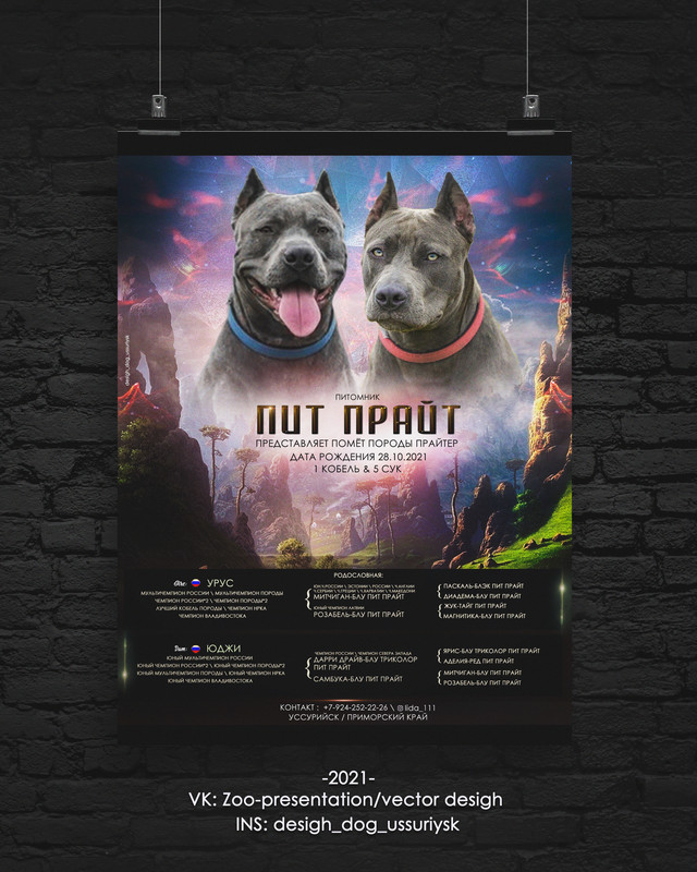 Poster-Dark-by-Don-Designпр