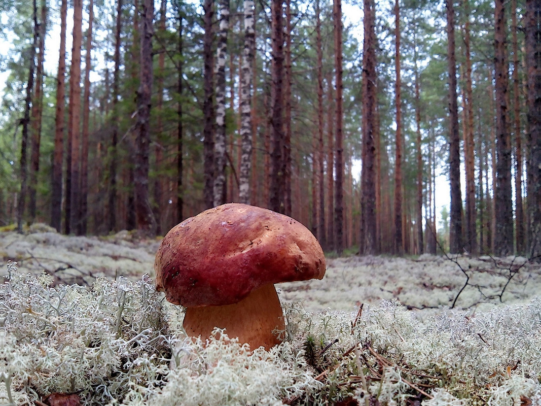 Верхняя Кама 18.07.15 05