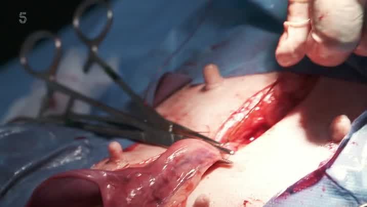 [Image: grn0bw6n5t7s.jpg]