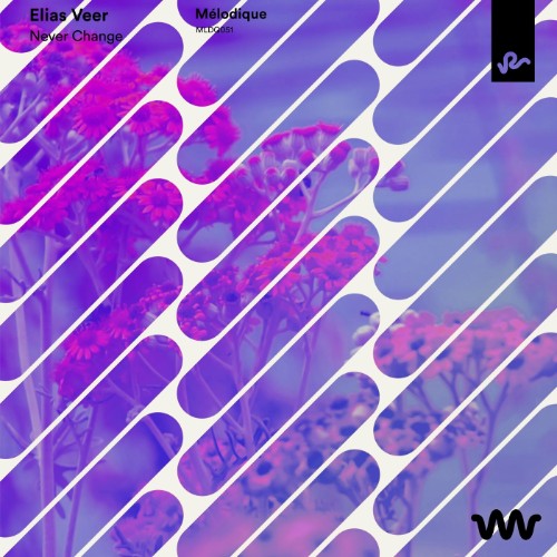 00-elias-veer-never-change-mldq061-web-2