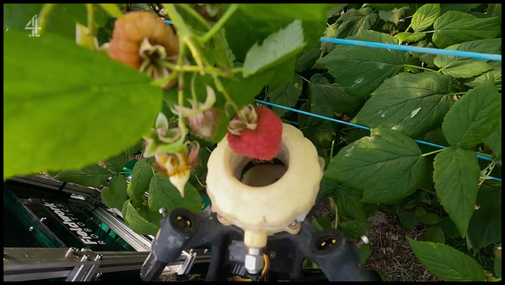 [Image: q9vz7ol5yyg7.png]