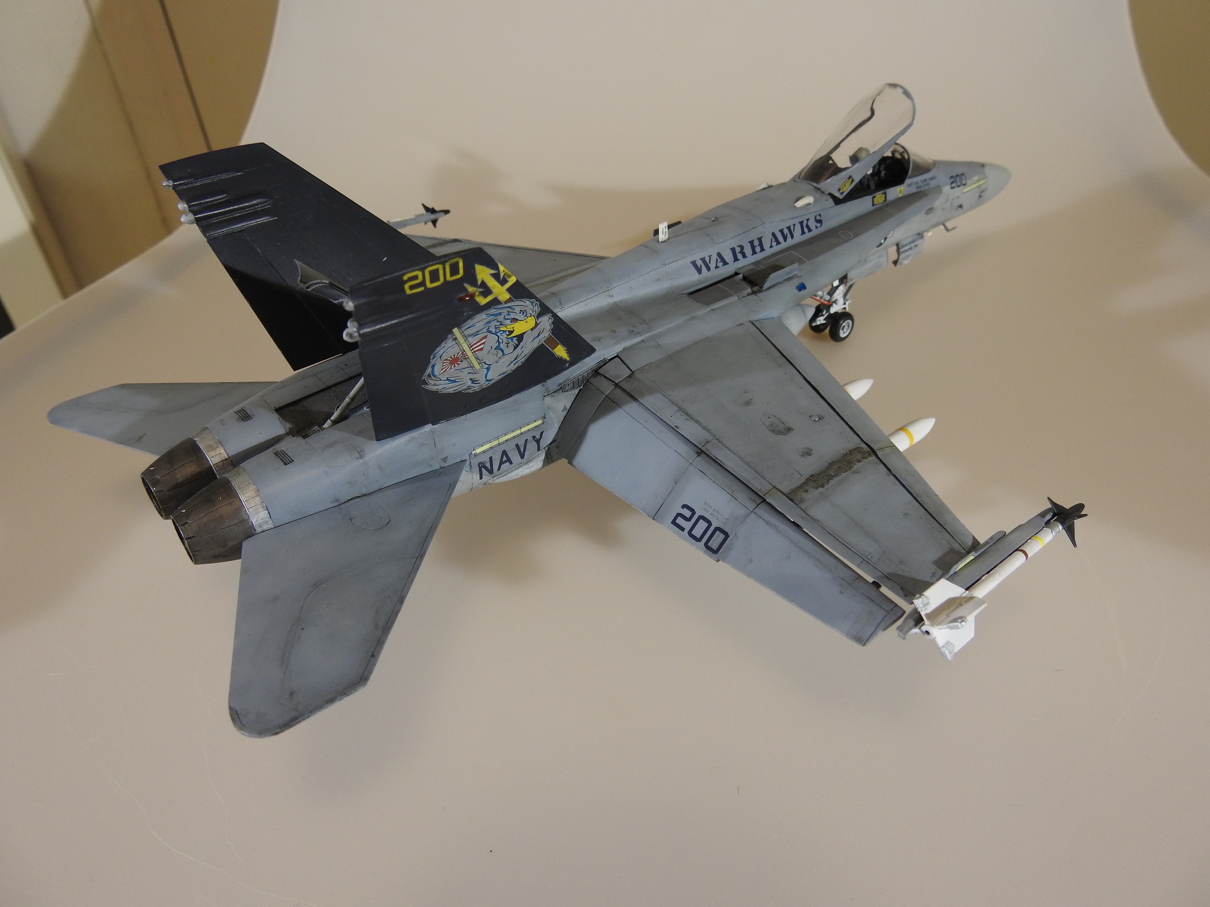 F/A-18C Hasegawa 1/48 - Klar DSCN8906