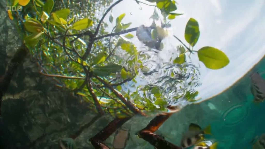 [Image: 4v26jclzwiz3.jpg]