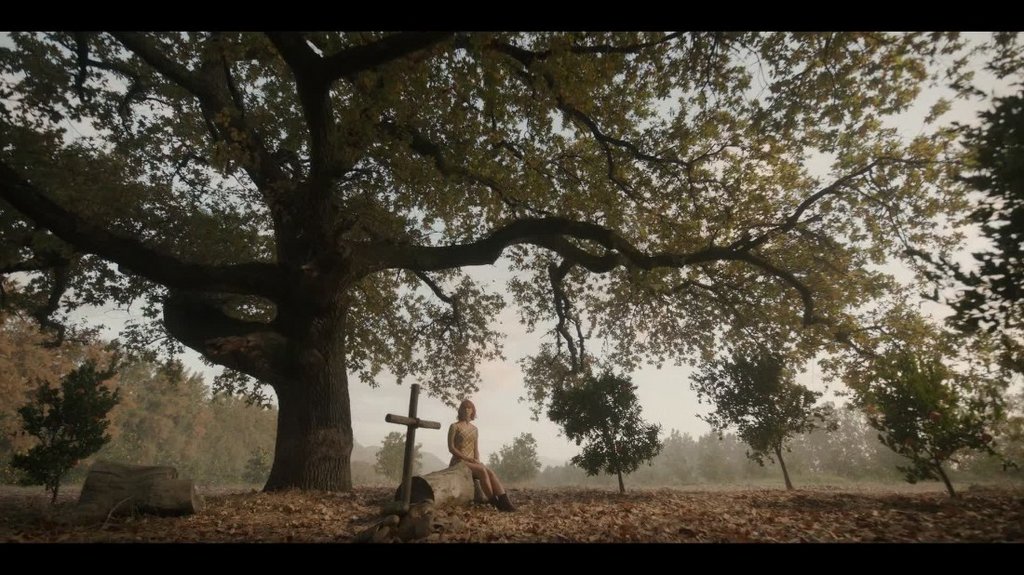 [Image: 5k5ill0z5hvg.jpg]