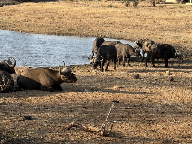 [Linked Image from i.postimg.cc]