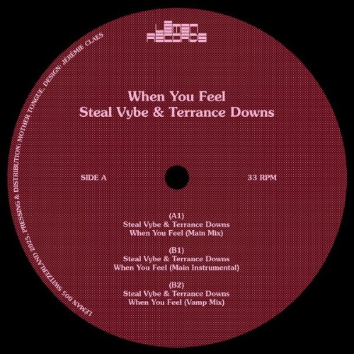 Steal Vybe x Terrance Downs - When You Feel (2026)