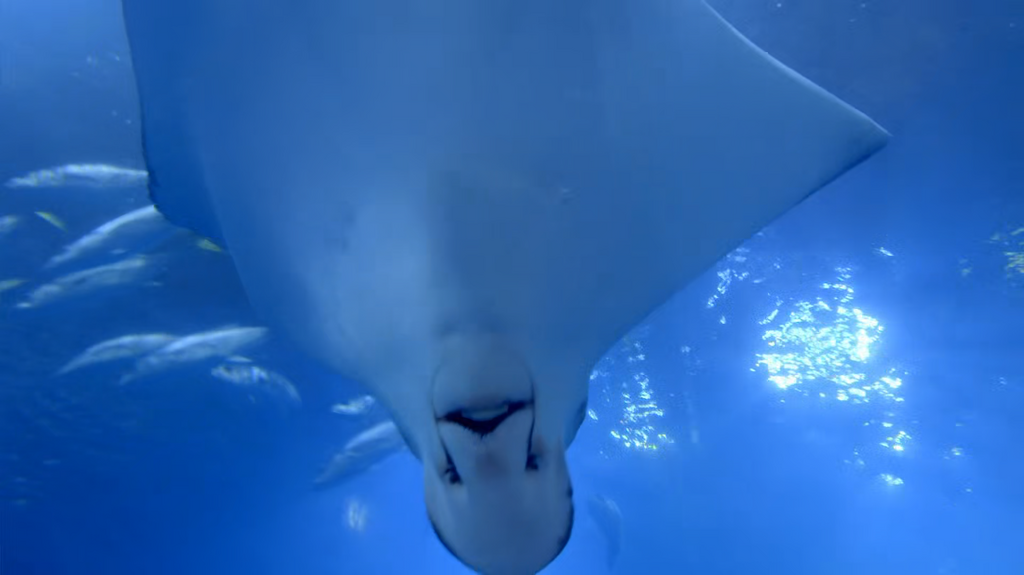 [Image: c1n6wnrzn2x0.png]