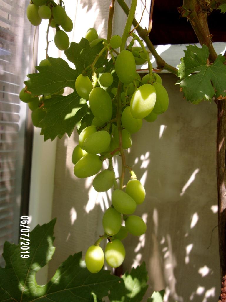 252 8579 — Postimages