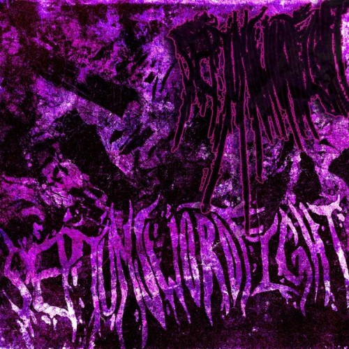 00-septumsw-ordfight-septumsw-ordfight-w