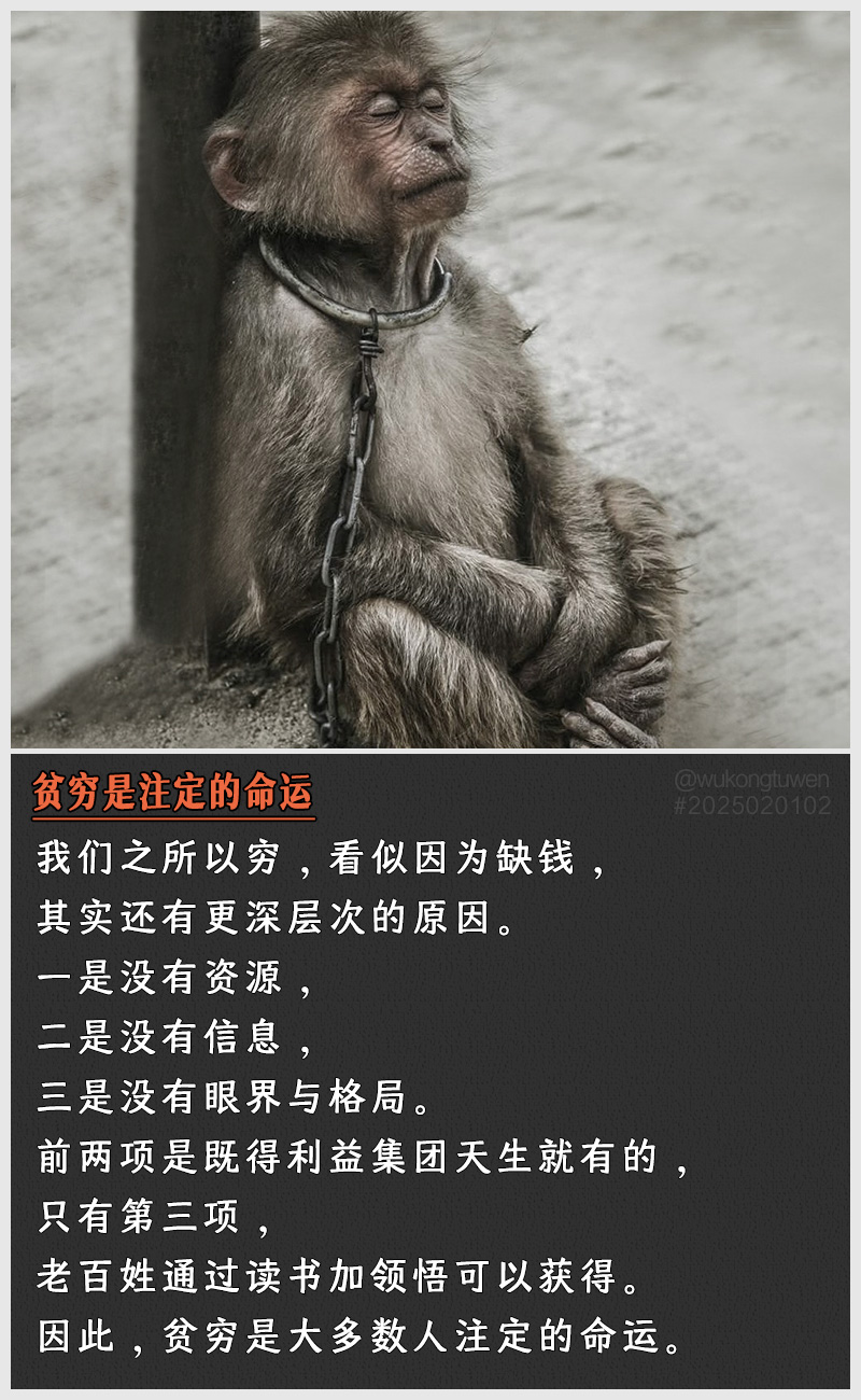 https://i.postimg.cc/NsmLsfNd/2025020102.jpg