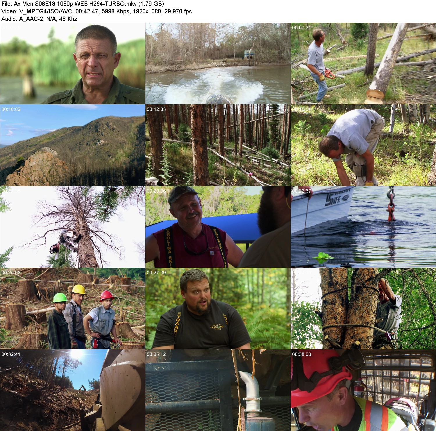 [Image: rhpowfv49j71.jpg]