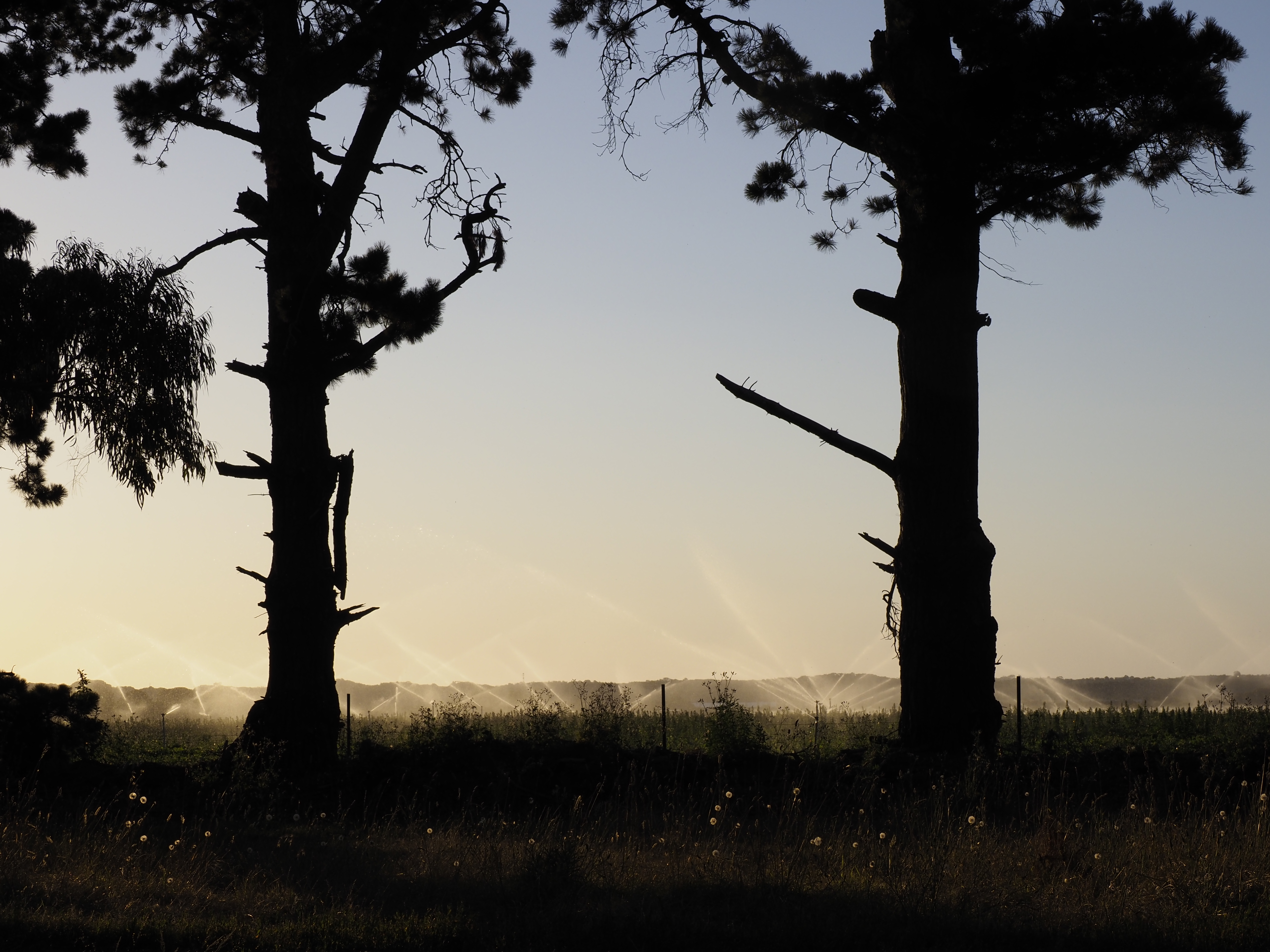 Old-Cape-Schank-Road-17x12.jpg