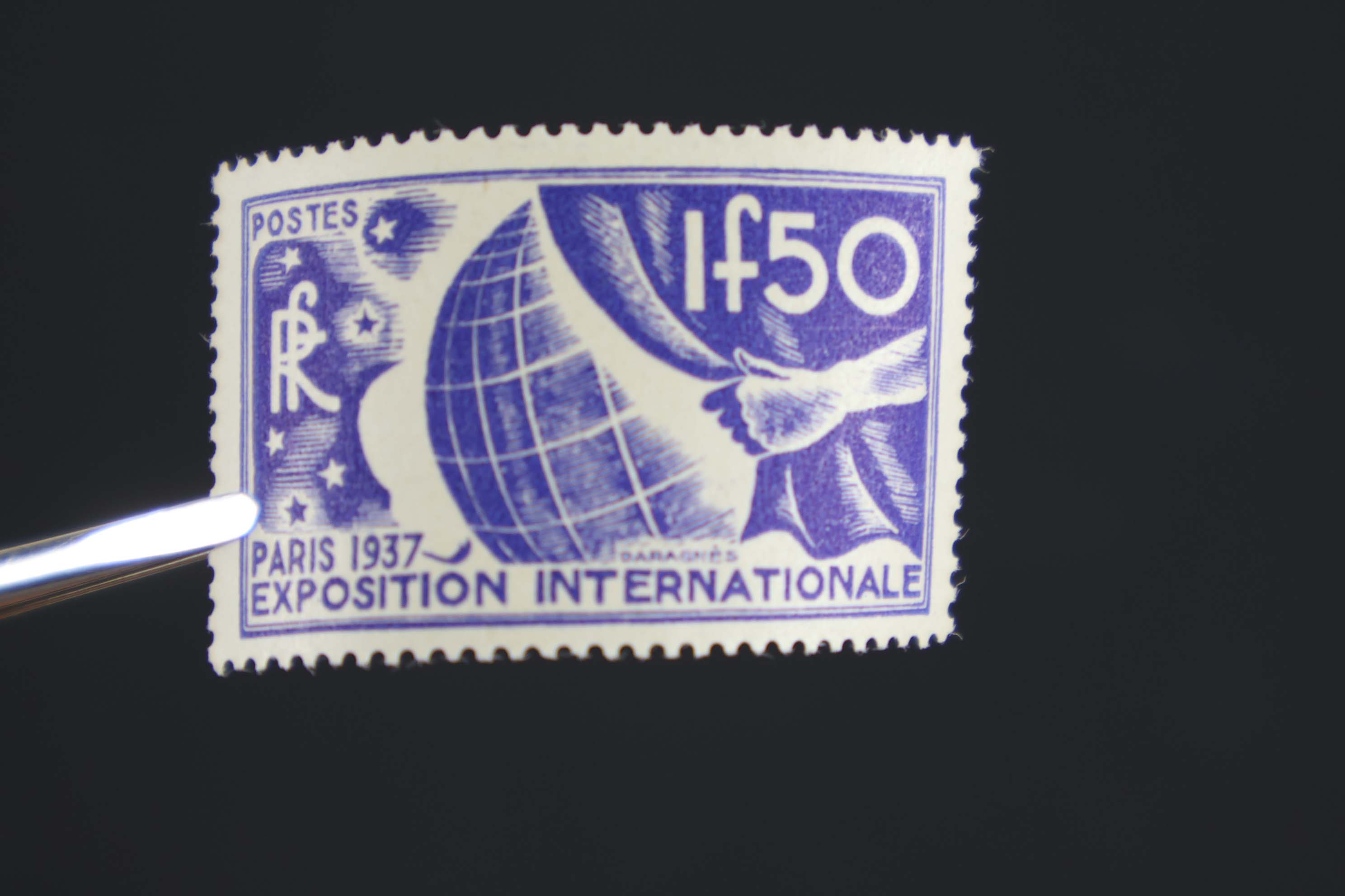 IMG-1563