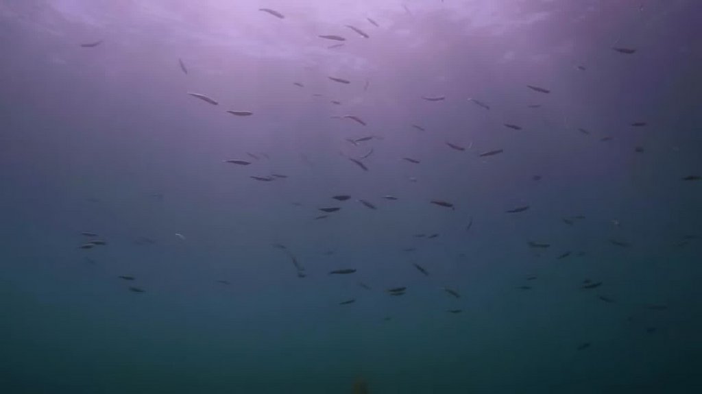 [Image: padkp6xk38x6.jpg]