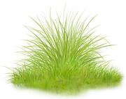 0-1c0bb7-c52ab1ed-orig