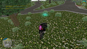 IMG-6947