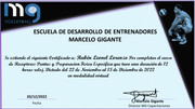 Certificado Curso de Receptores Puntas  Preparacion fisica especifica