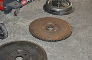 DSC-0231.jpg