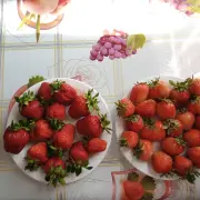 IMG_20220620_164541_068