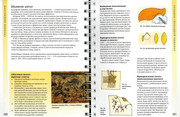 Betti-Barnden-Vyshivka-Entsiklopedia-112