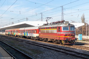 IMG-1455