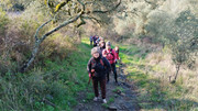 IMG-20260117-110823