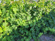 20190905-075751