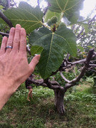 D7DBA46B-665D-478C-9E32-5B3C151BF3BF