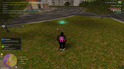 IMG-6508