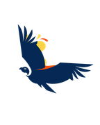 Cóndor