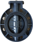Bare Shaft Butterfly Valve Real Photo