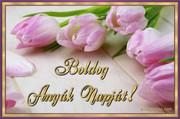 https://i.postimg.cc/NycysHdV/65154-rozsaszin-tulipanok-anyak-napi-kep.jpg