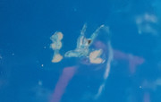 20240824-190926.jpg
