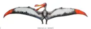 https://i.postimg.cc/NyfnWVVJ/ornithocheirus-pterosaur-type-flying-reptile-260nw-1664514271.webp