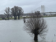 [Afbeelding: plas-2.jpg]