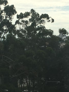 95F68FB8-4CC2-4818-9C39-982356FD9F46