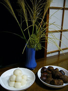 Tsukimi-moon-viewing-party-japan
