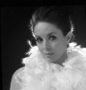 dana-wynter-b15