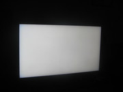IMG-1354