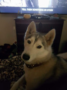 251483043_2695770614059019_215618015234221805_n