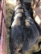 12E5CA01-B5CC-4CA3-A295-B7FDBBCDD97A