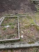 IMG-9722