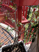 IMG-3612